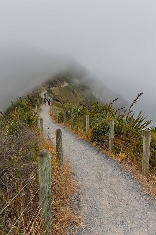 048 Nugget Point.jpg